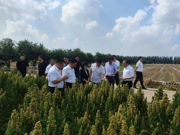 中电农创、北京榆垡镇一行来中心考察调研